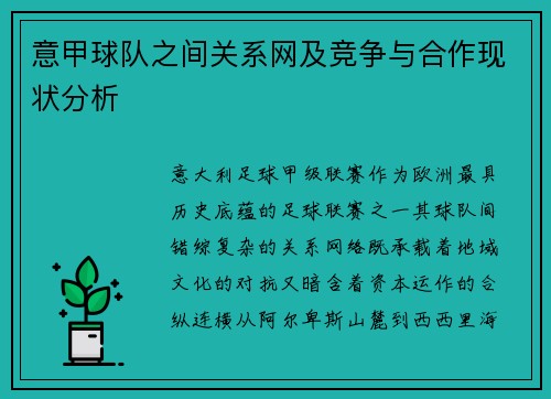 意甲球队之间关系网及竞争与合作现状分析